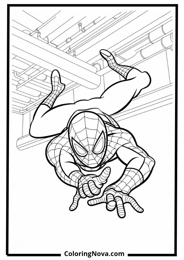Ceiling Crawl