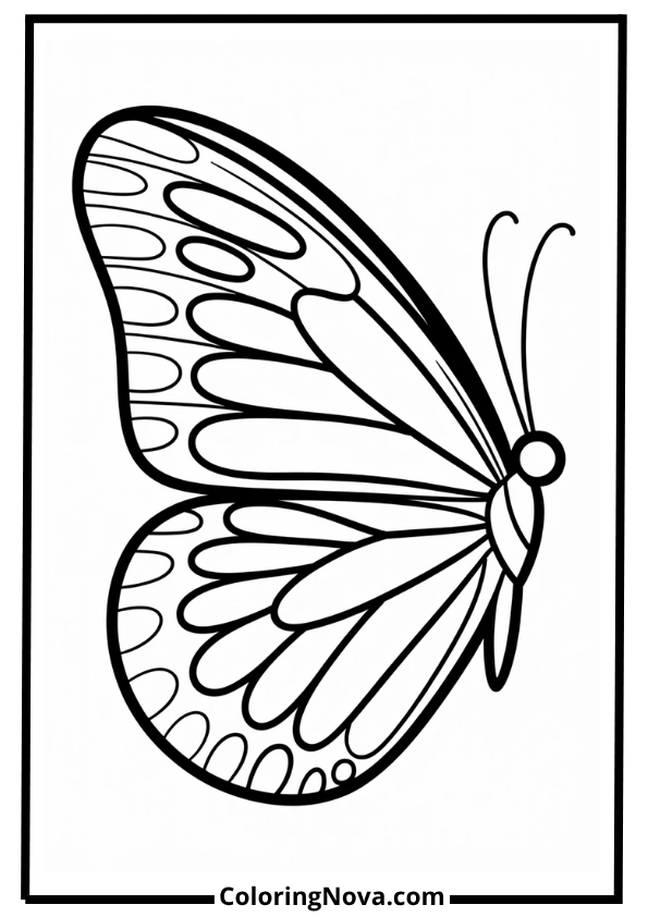 Close Up Butterfly Wing Patterns Coloring Page
