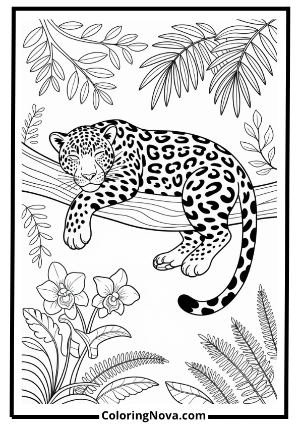Sleeping Jaguar in Jungle Coloring Page