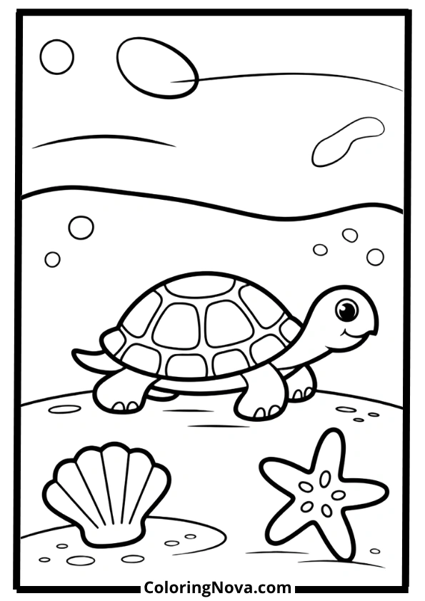 Easy Turtle Coloring Pages