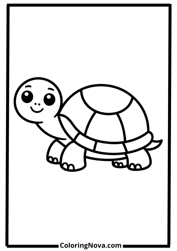 Simple Turtle Coloring Page